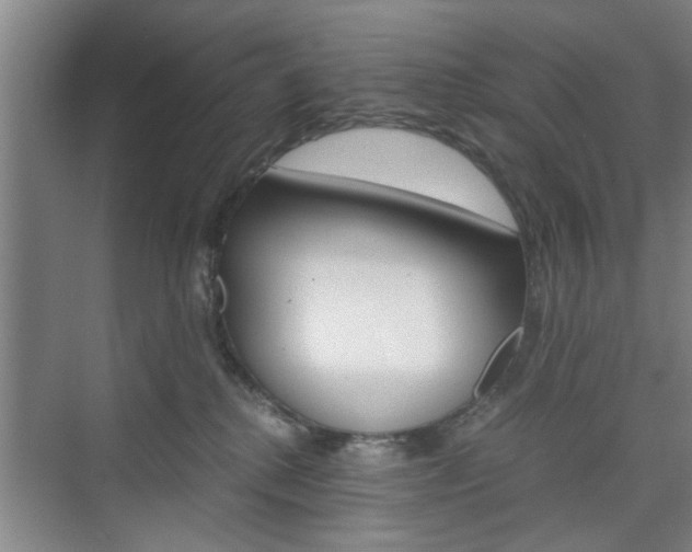 X0000075910280200609151046