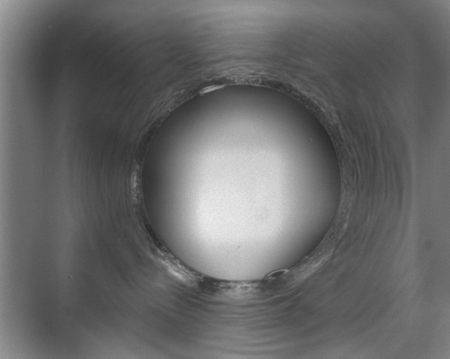 X0000075910288200609151046