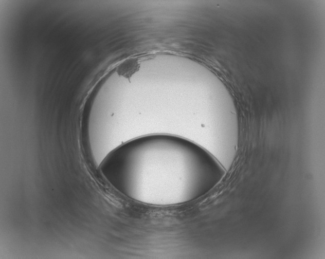 X0000075910291200609151045