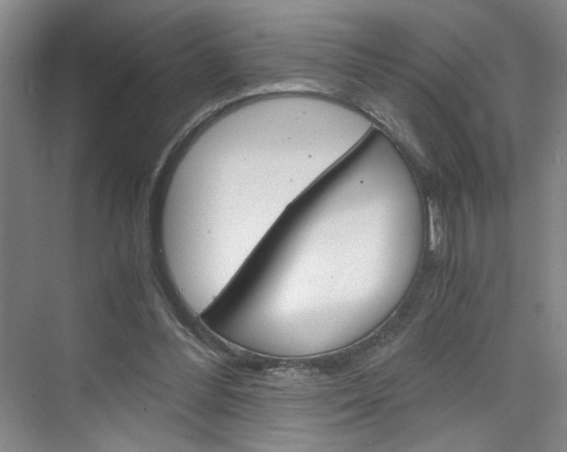 X0000075910300200609151045