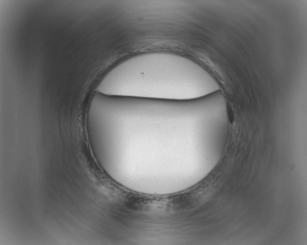 X0000075910306200609151045