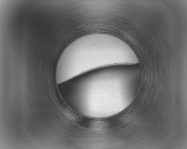 X0000075910315200609151045