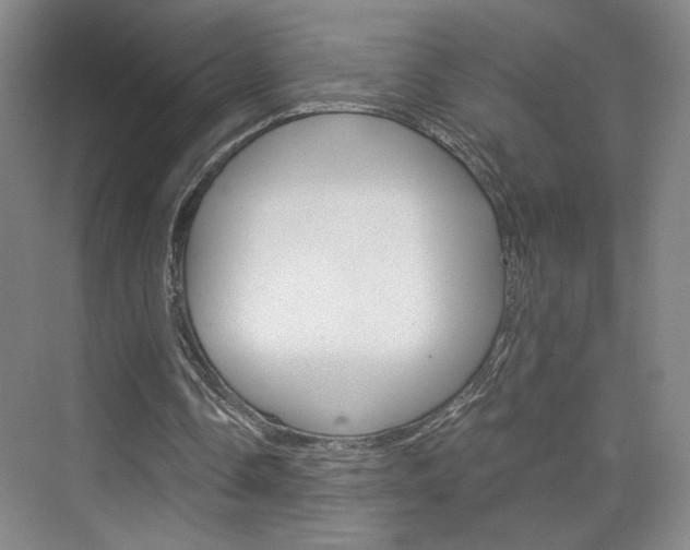 X0000075910338200609151044