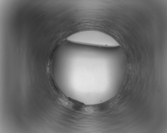 X0000075910423200609151043