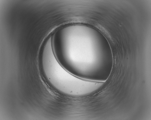 X0000075910436200609151042