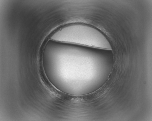 X0000075910440200609151042