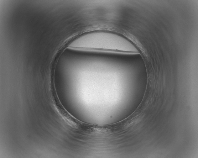 X0000075910442200609151042