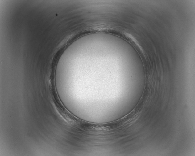 X0000075910443200609151042