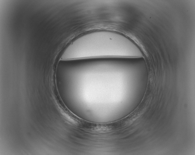 X0000075910445200609151042