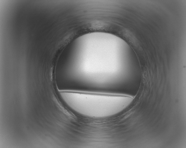 X0000075910454200609151042