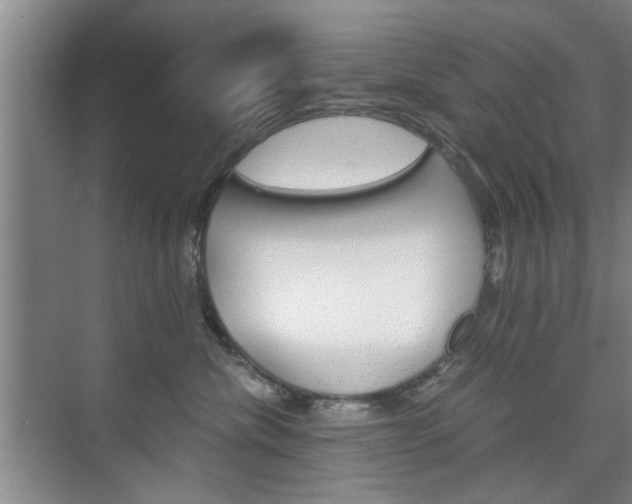 X0000075910476200609151043