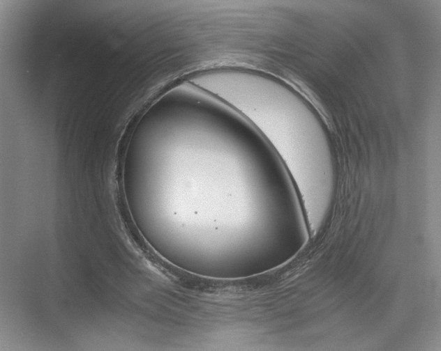 X0000075910485200609151042