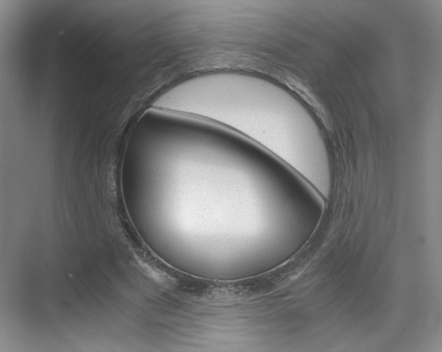 X0000075910489200609151042
