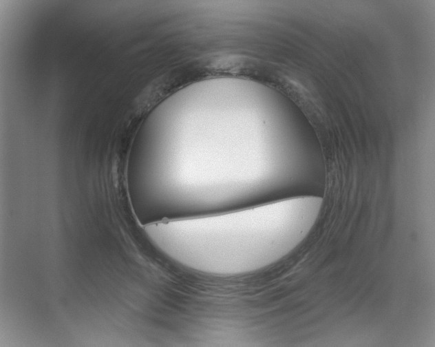 X0000075910504200609151042