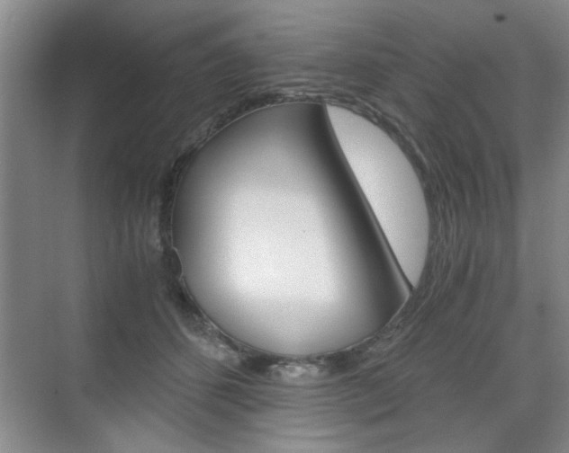 X0000075910512200609151041
