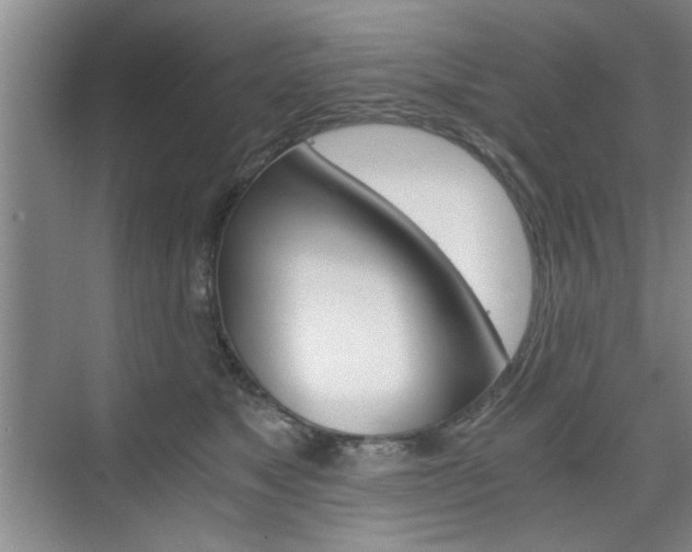 X0000075910517200609151041