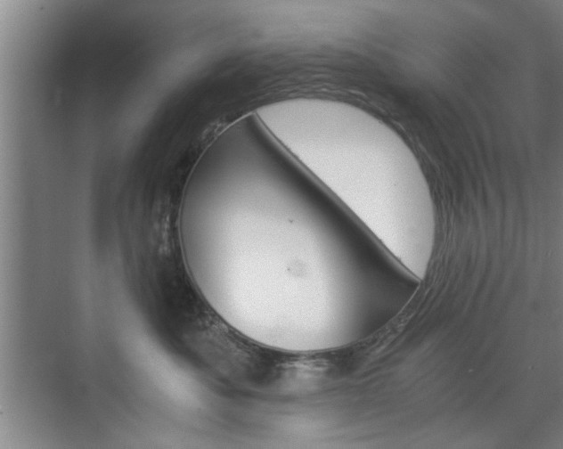 X0000075910525200609151041