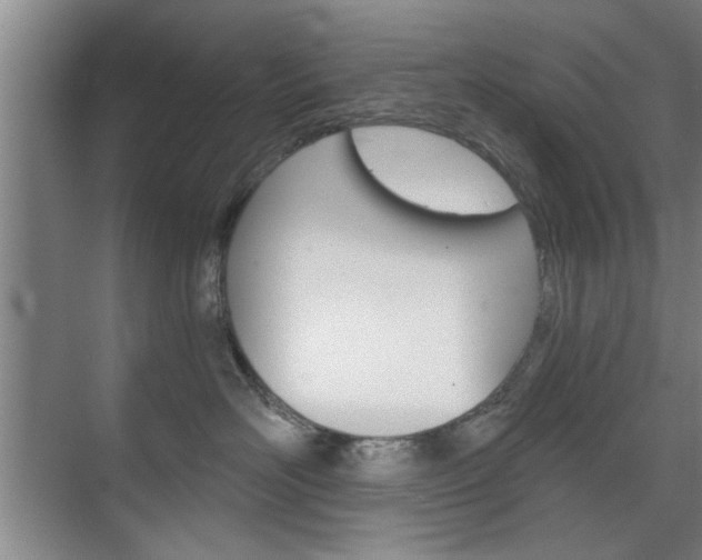 X0000075910526200609151041