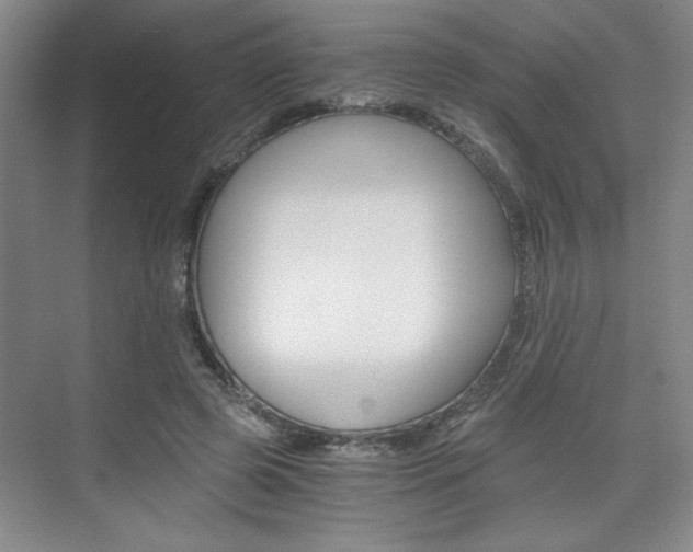 X0000075910545200609151041