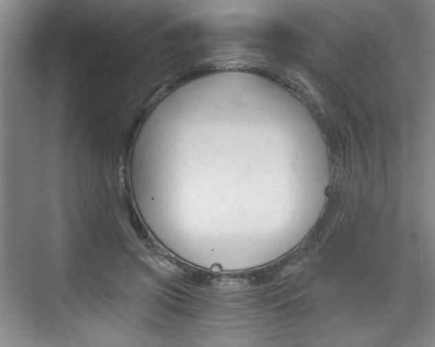 X0000075910549200609151041