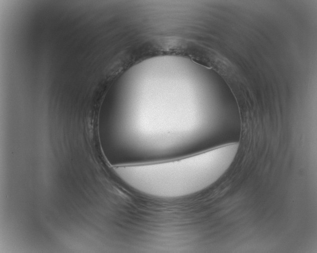 X0000075910558200609151041