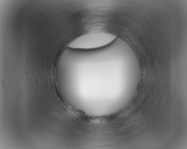 X0000075910561200609151041