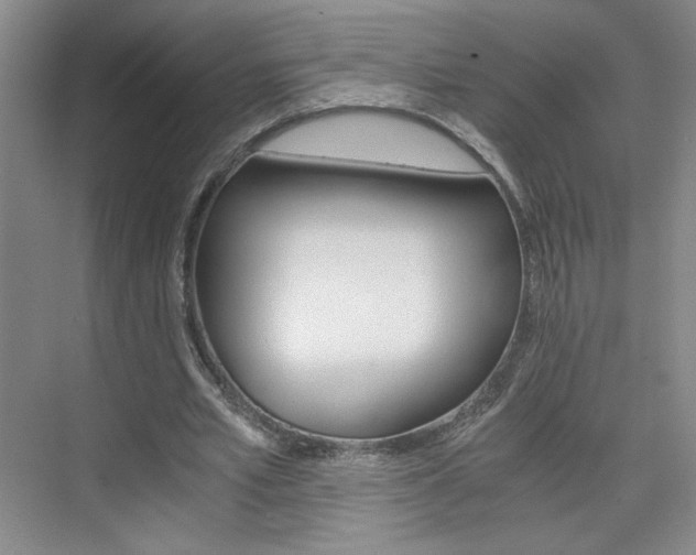 X0000075910581200609151040