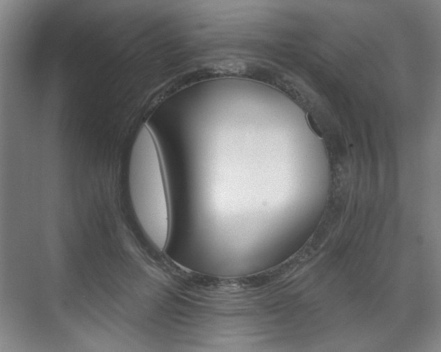 X0000075910600200609151040