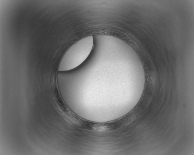 X0000075910602200609151040