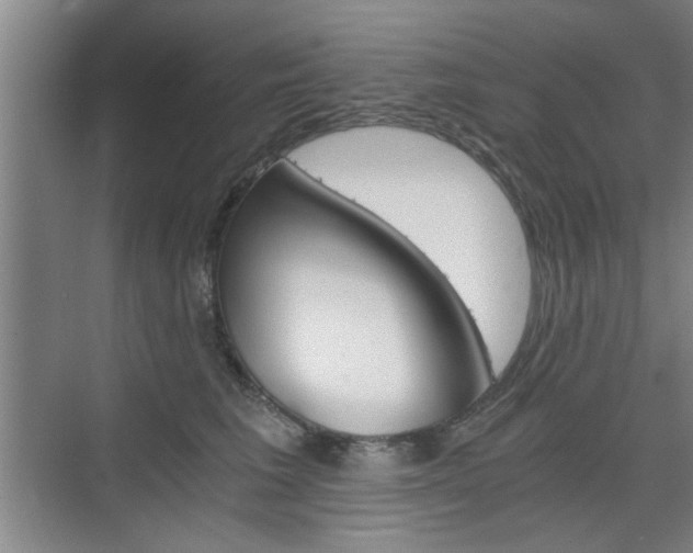 X0000075910613200609151040