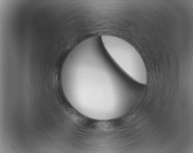 X0000075910615200609151040