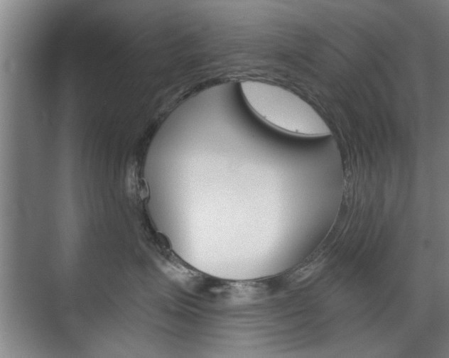 X0000075910623200609151040