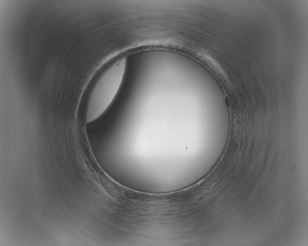 X0000075910628200609151039