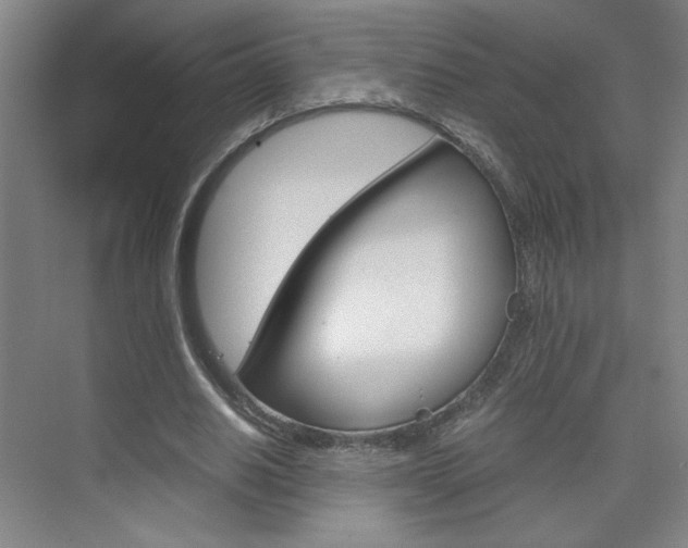 X0000075910630200609151039