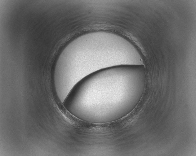X0000075910633200609151039