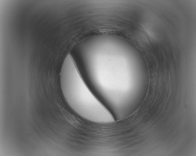 X0000075910653200609151039