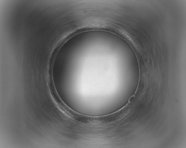 X0000075910677200609151039