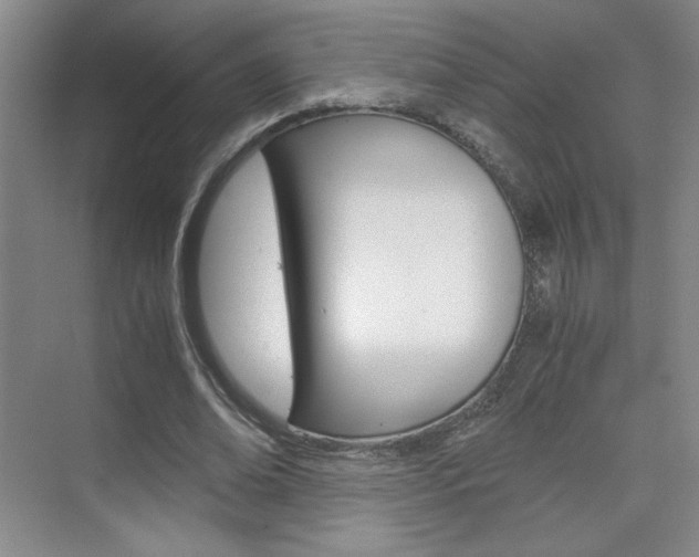X0000075910678200609151039
