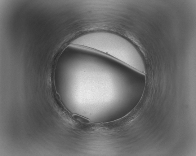 X0000075910681200609151039