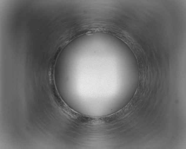 X0000075910696200609151038