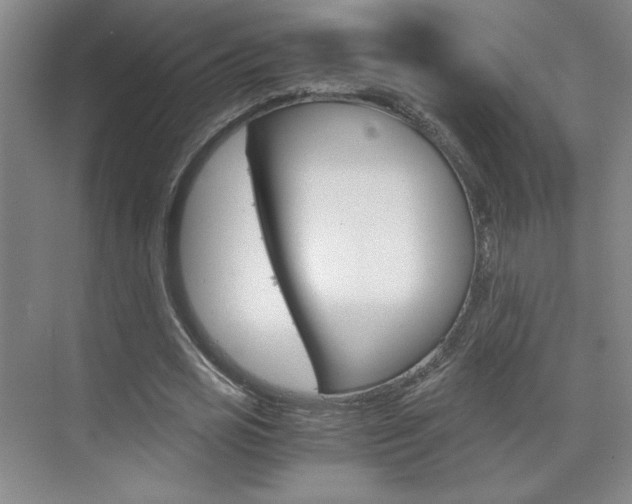X0000075910725200609151037
