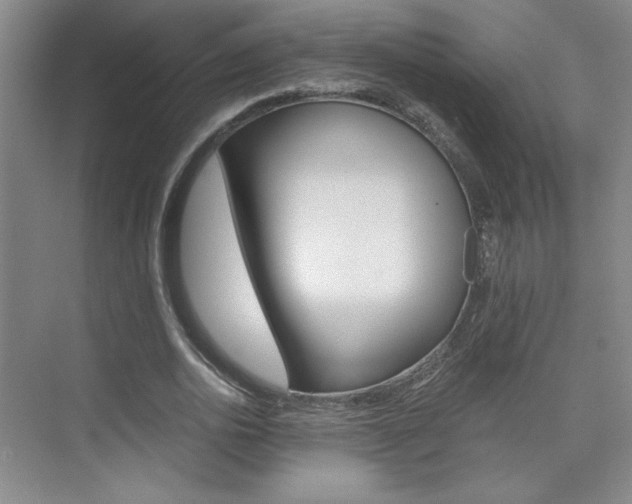 X0000075910726200609151037
