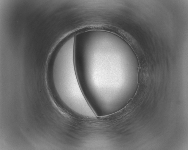 X0000075910728200609151037