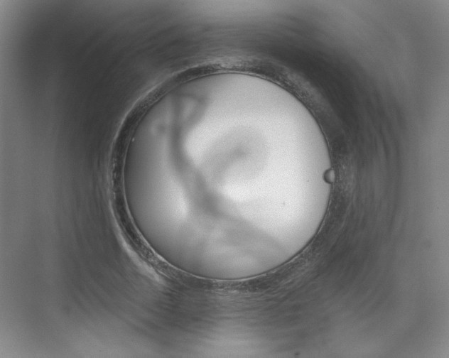 X0000075910730200609151037