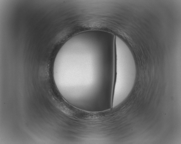 X0000075910735200609151037