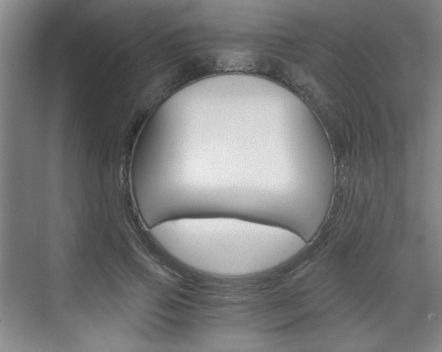 X0000075910741200609151037