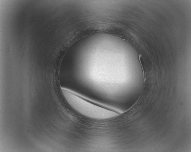X0000075910750200609151038
