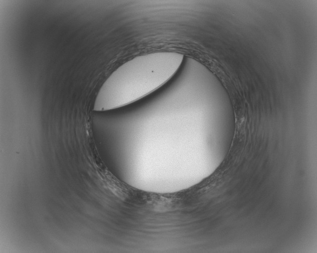 X0000075910772200609151037