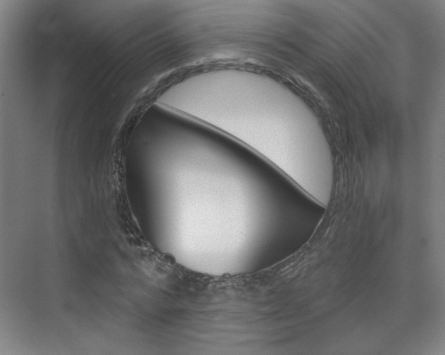 X0000075910776200609151037