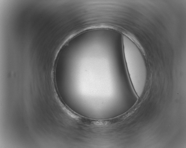 X0000075910805200609151037